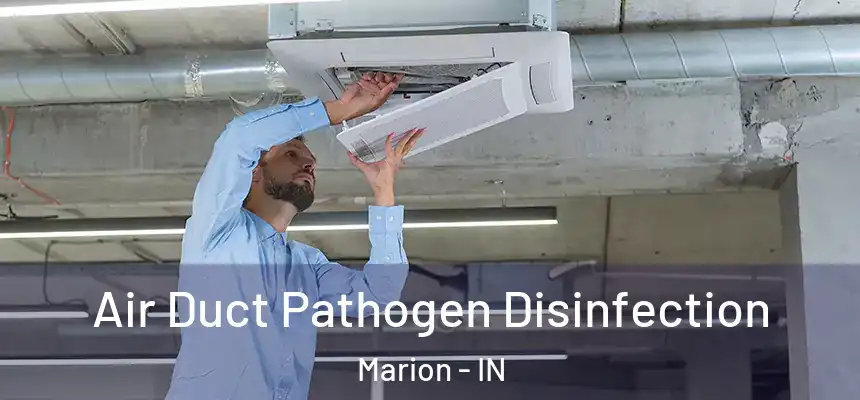  Air Duct Pathogen Disinfection Marion - IN