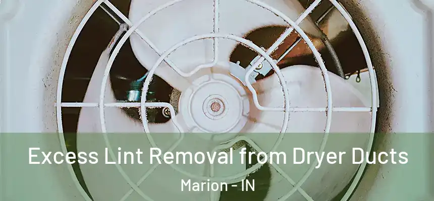 Excess Lint Removal from Dryer Ducts Marion - IN