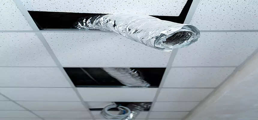 Our Air Duct Pet Hair Removal Services in Marion, IN