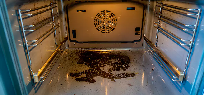 Our Dryer Vent Mold Cleaning Services in Marion, IN