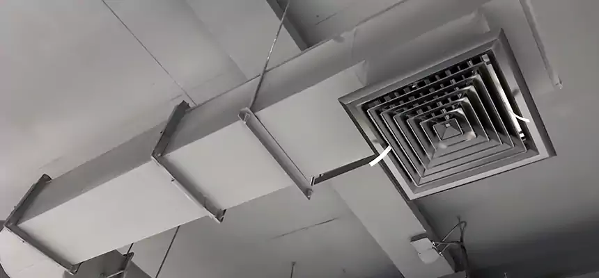 Our Pest Removal From Ducts Services in Marion, IN