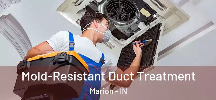 Mold-Resistant Duct Treatment Marion - IN