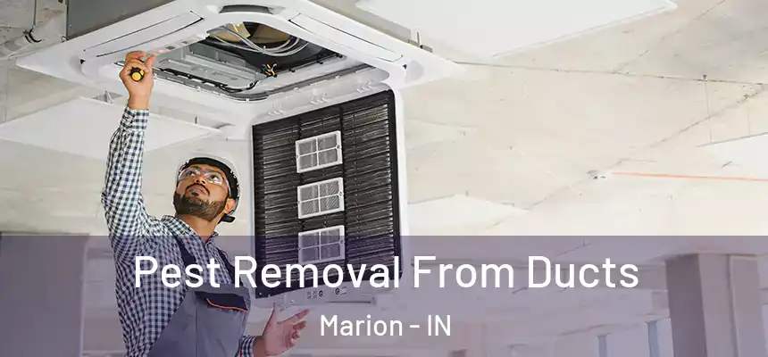  Pest Removal From Ducts Marion - IN