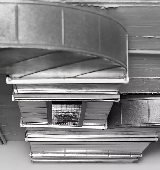 Professional Air Duct Pest Removal in Marion, IN