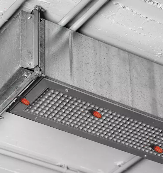 Affordable Insect Removal from Air Ducts in Marion, IN