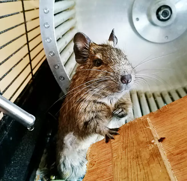 Why Homeowners & Businesses Trust Us Marion, IN