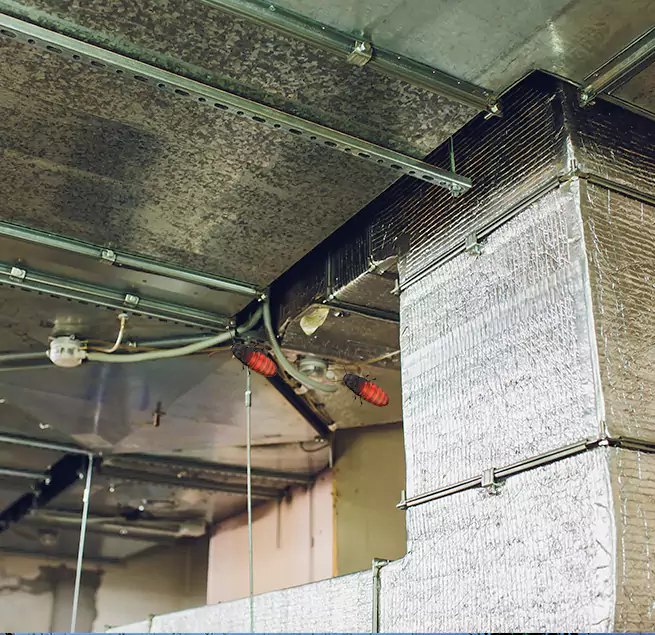 Why Homeowners & Businesses Trust Us Marion, IN?