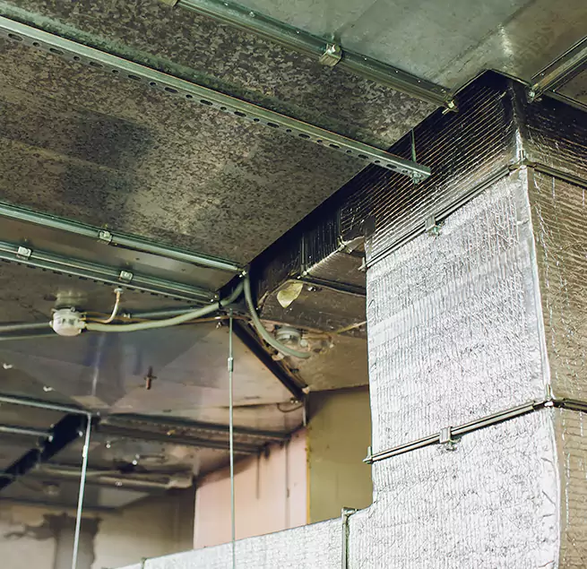 Why Homeowners & Businesses Trust Us in Marion, IN?